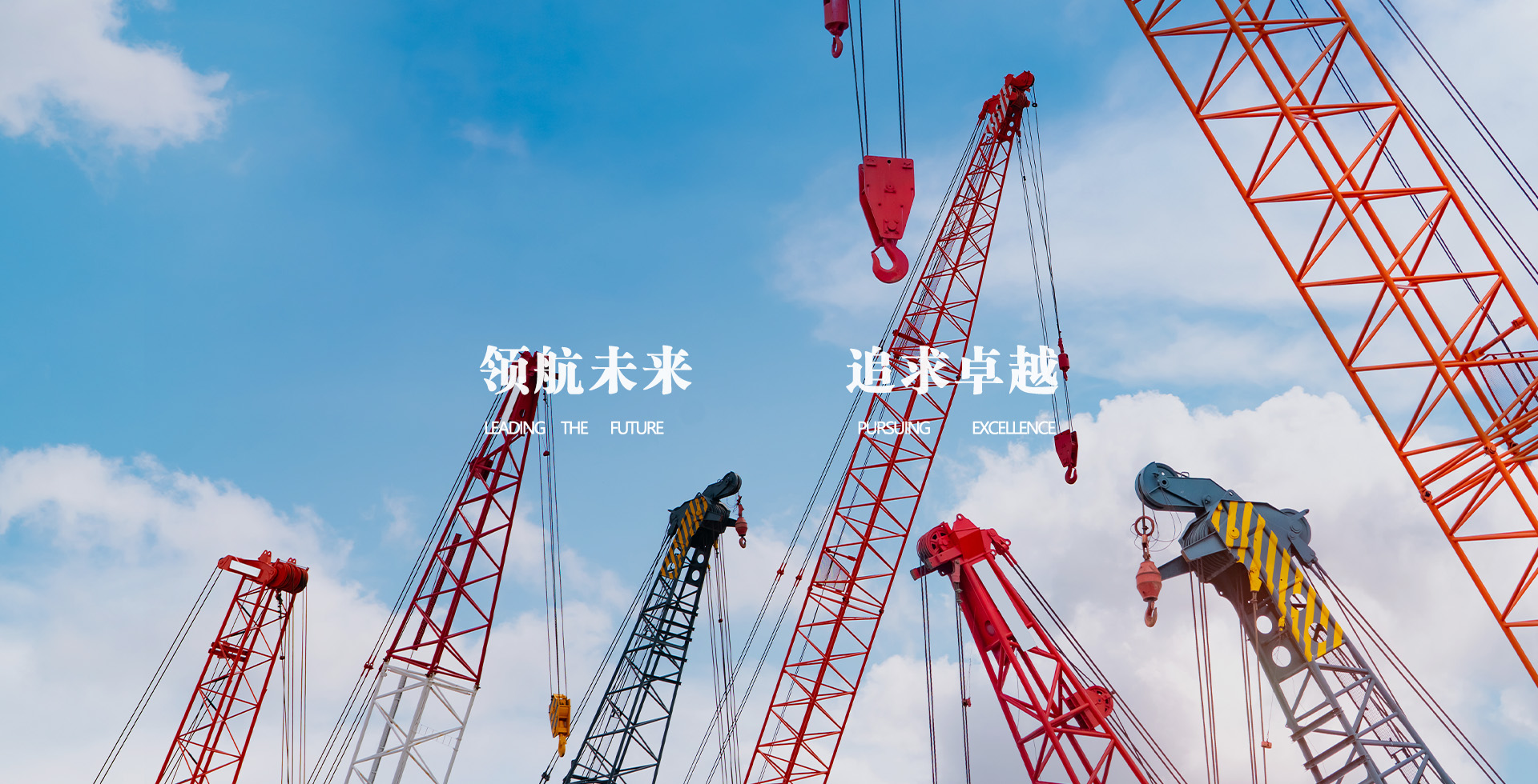 金年会